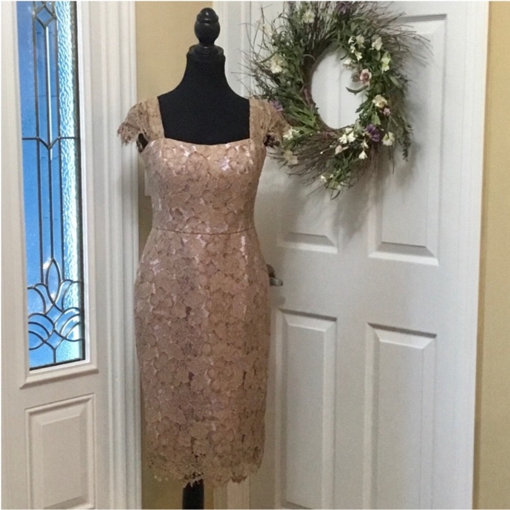 Ross Mayer Occasion Tan/Gold/Lavender Lace/Embroidered Dress